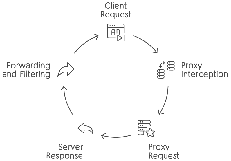 Working of Proxy Server